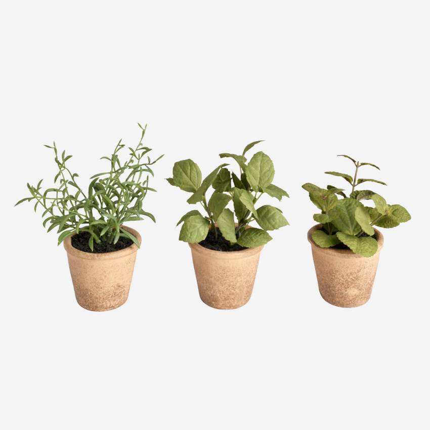 Mini vaso com ervas aromáticas (conjunto 3 modelos)