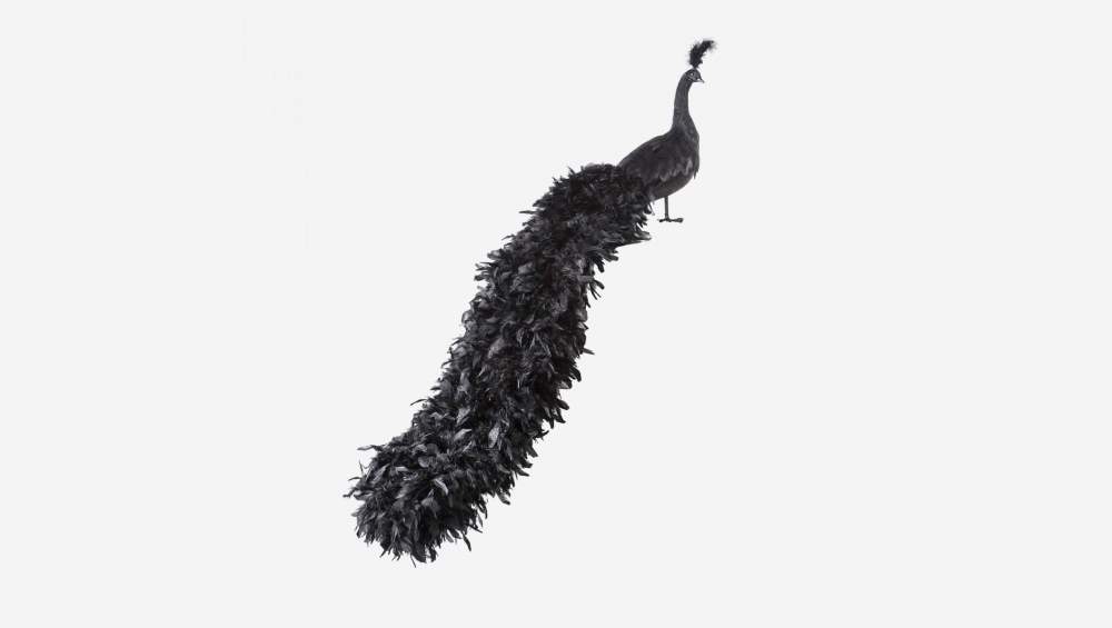 Pavo real decorativo L152 negro