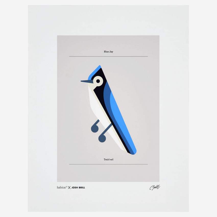 Affiche Josh Brill - Blue Jay 40x50cm