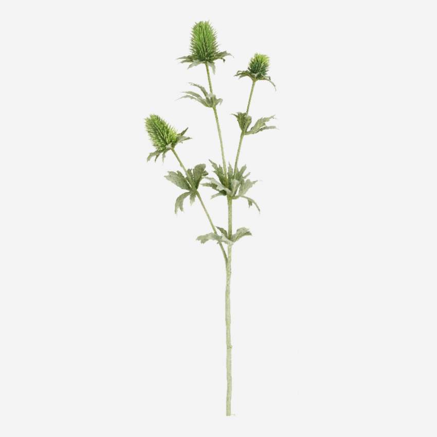 Stelo di cardo verde - 78 cm