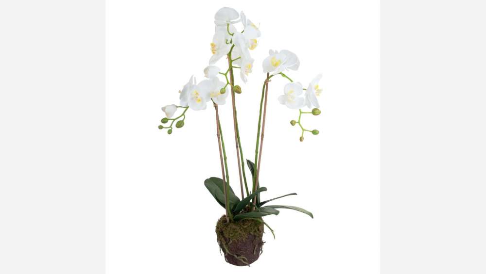 Planta artificial  de orquidea Phalaenopsis 75cm blanca MM