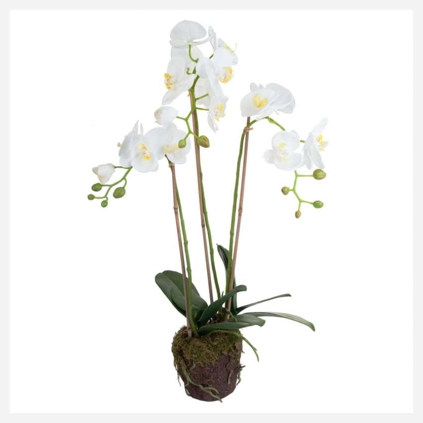 Kunstpflanze Orchidee Phalaenopsis, 75 cm, weiß, Größe M