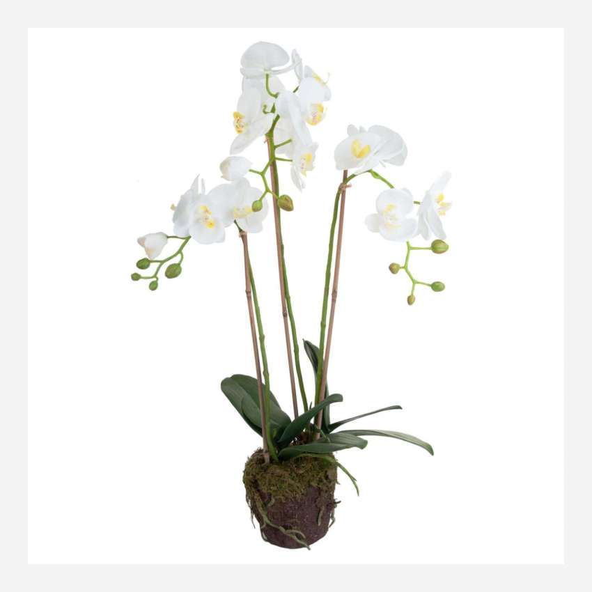 Kunstpflanze Orchidee Phalaenopsis, 75 cm, weiß, Größe M