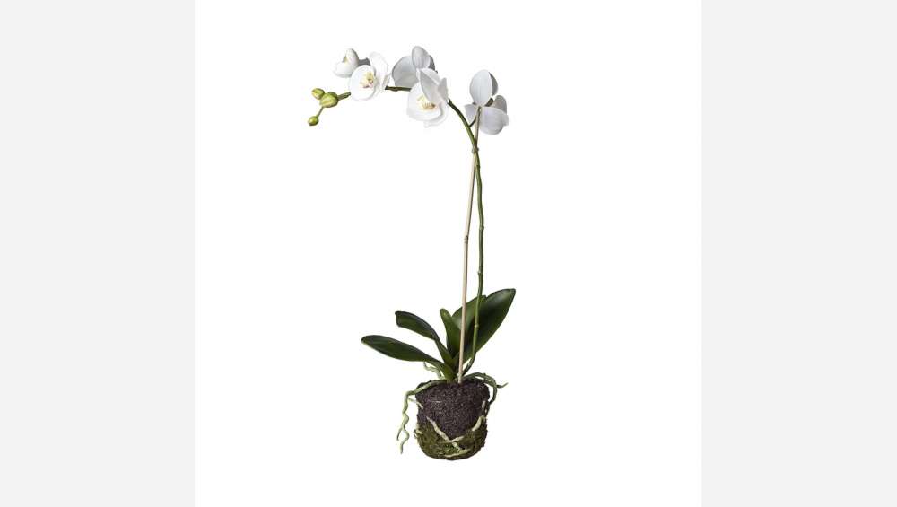 Planta artificial  de orquidea Phalaenopsis 59cm blanche PM
