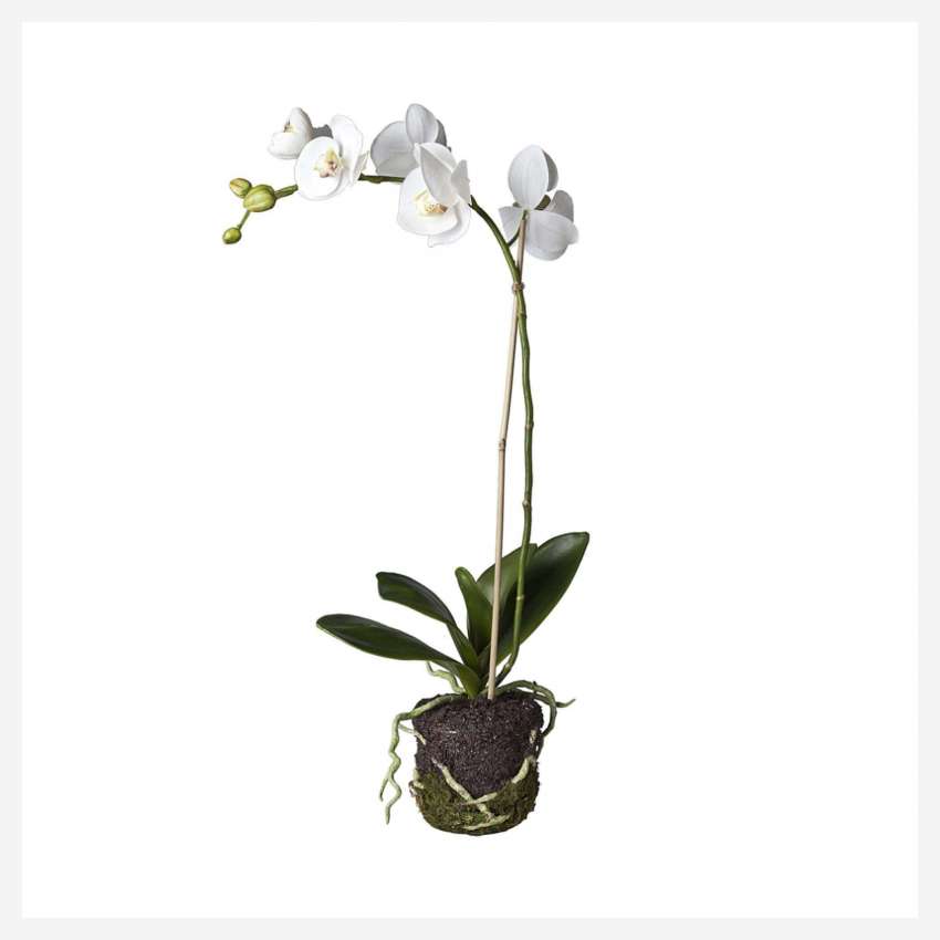 Kunstpflanze Orchidee Phalaenopsis, 59 cm, weiß, Größe S
