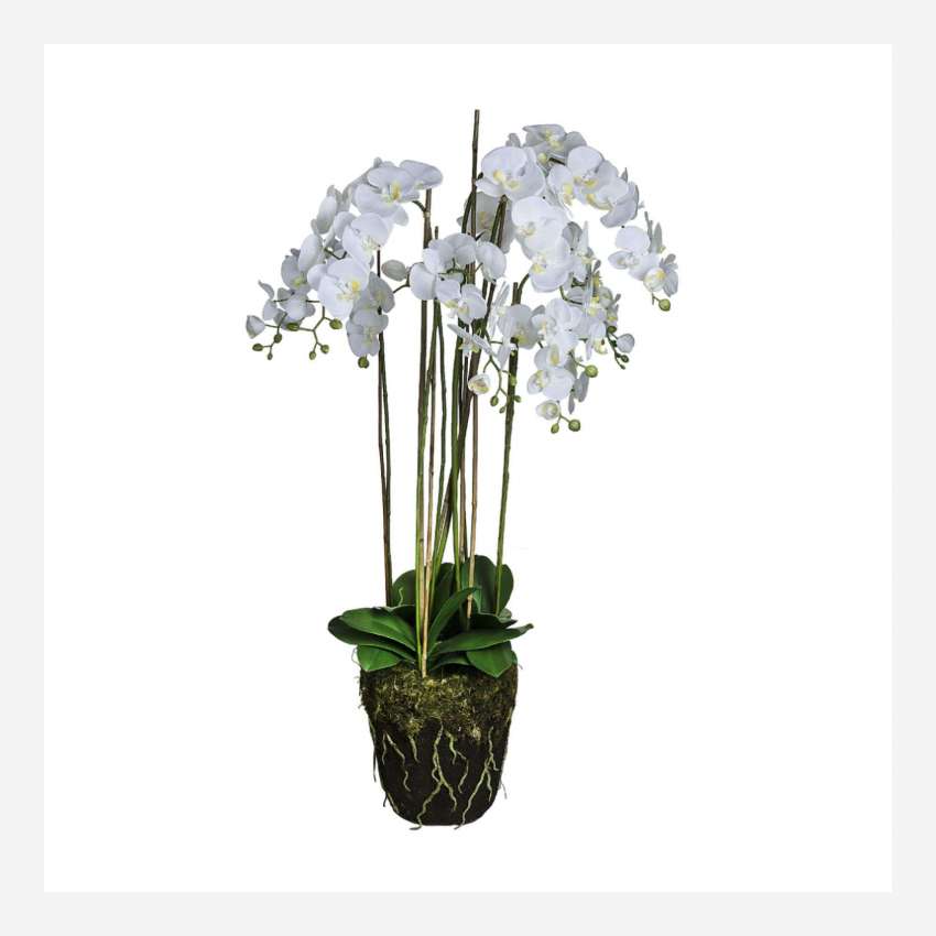 Kunstpflanze Orchidee Phalaenopsis in Erdballen, 130 cm, weiß, Größe XXL