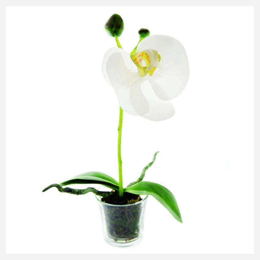 Plante artificielle d'Orchidée Phalaenopsis en pot 18cm blanche