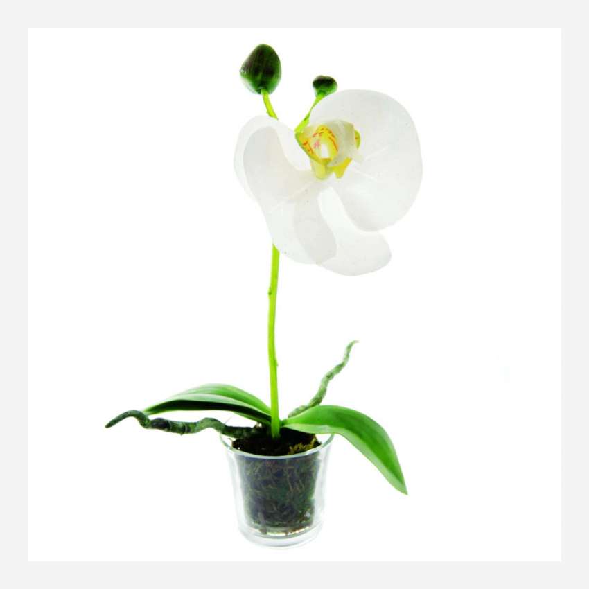Plante artificielle d'Orchidée Phalaenopsis en pot 18cm blanche