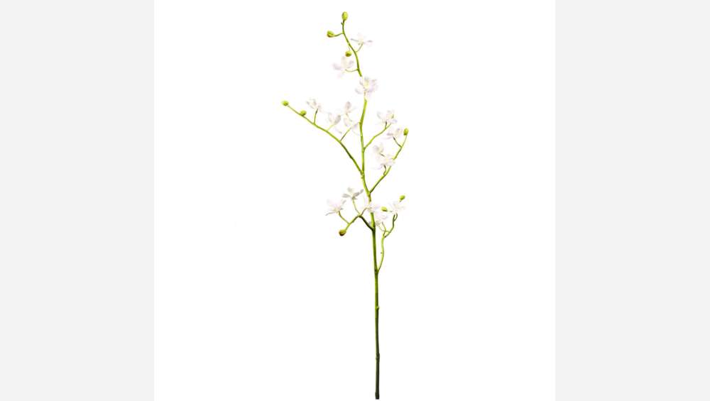 Mini Orchidea Phalaenopsis 94cm bianco