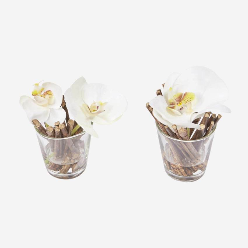 2 orchidées phalaenopsis avec illusion d'eau - Blanc