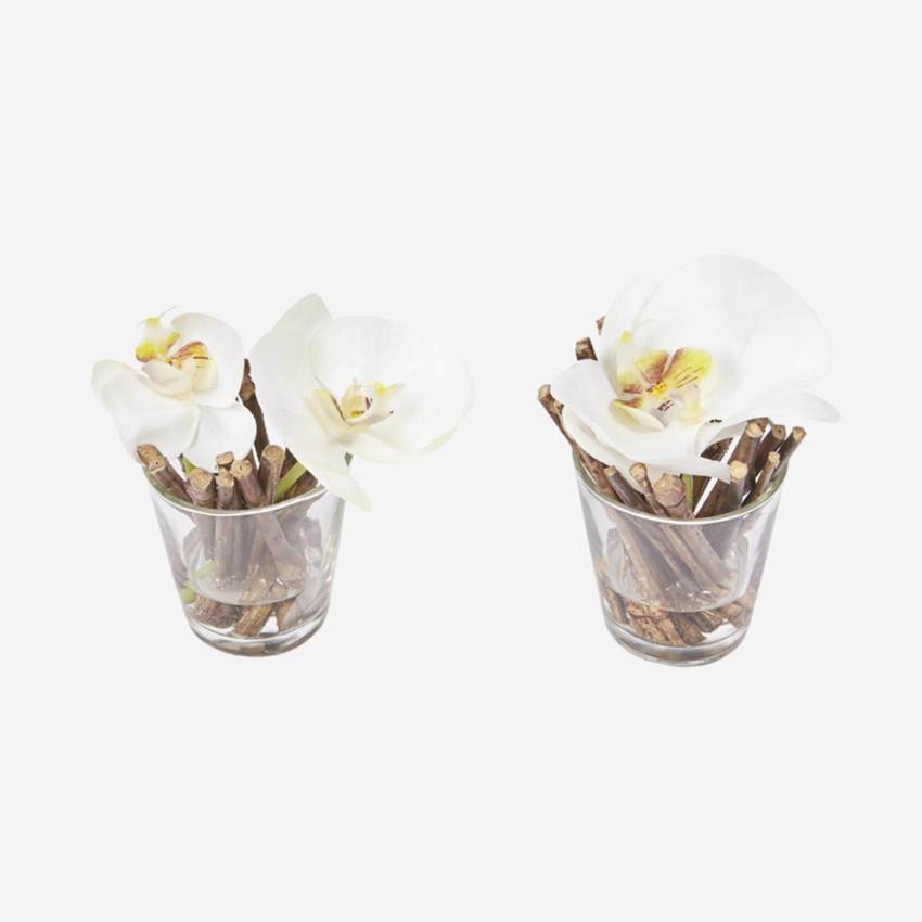 2 orchidées phalaenopsis avec illusion d'eau - Blanc