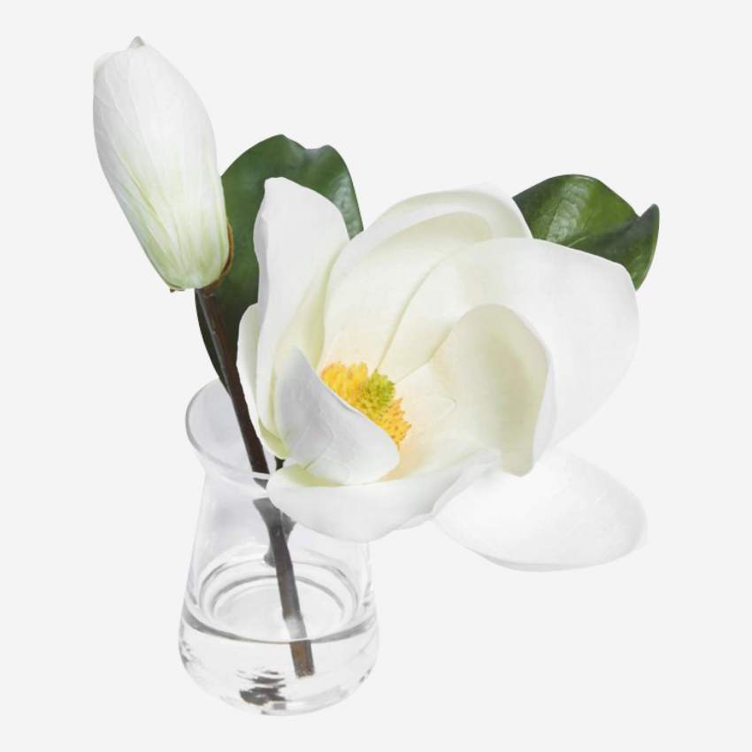 Fleur de magnolia dans pot