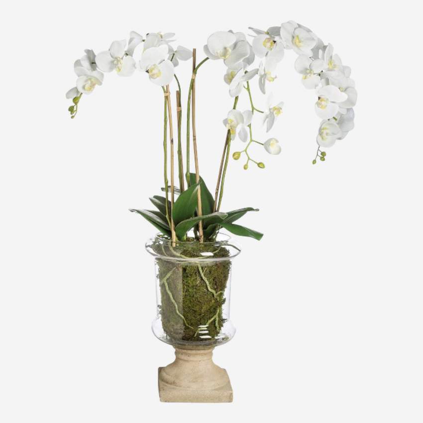 Pot met 4 Marylin orchideeën