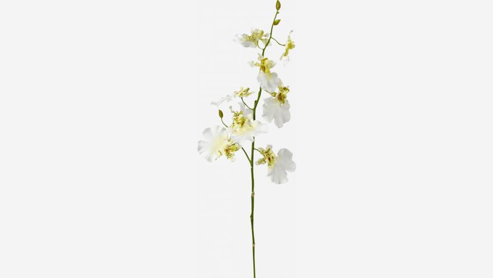 Pé de orquídea oncidium (modelo pequeno)
