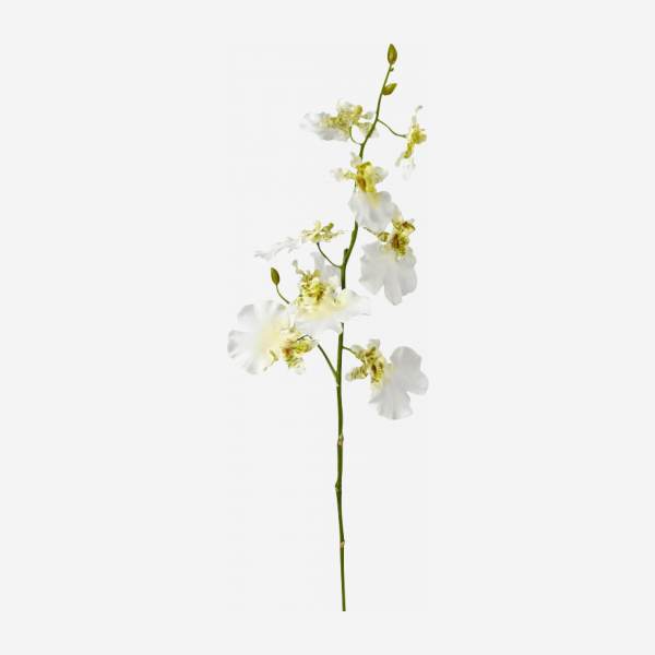 Tallo de orquídea oncidium (modelo pequeño)