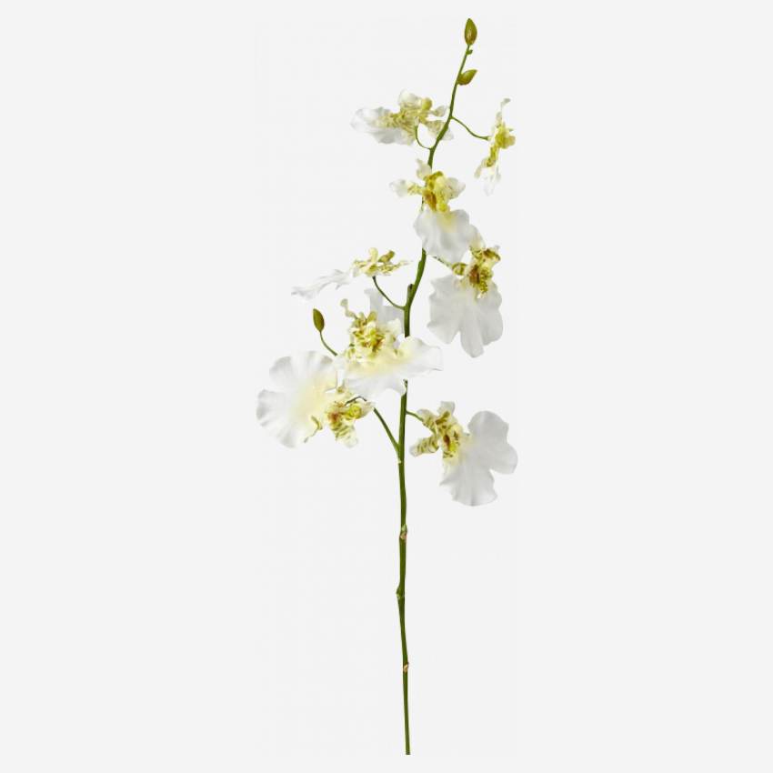Tige d'orchidée oncidium (petit modèle)