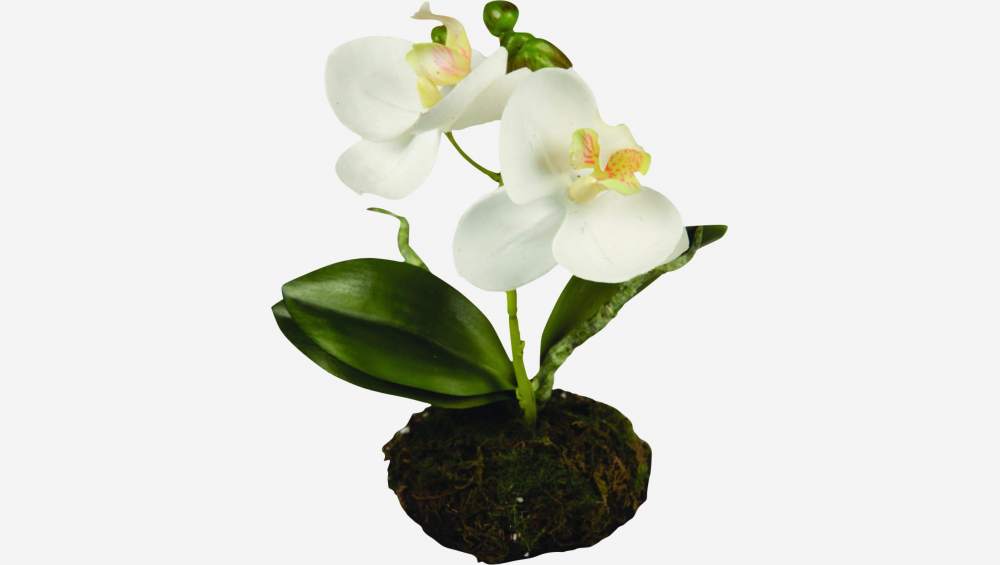 Kunstpflanze Orchidee Phalaenopsis in Erdballen, 13 cm, weiß