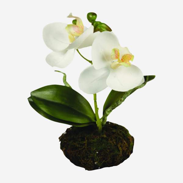 Planta artificial  de orquidea Phalaenopsis con césped 13cm blanca