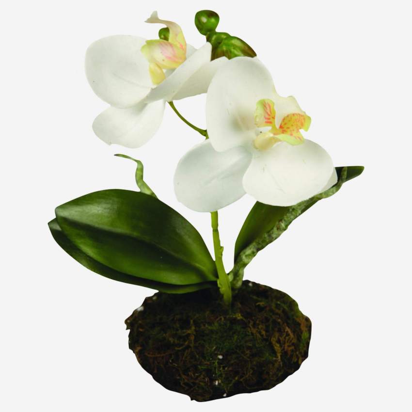Kunstplant Orchidee Phalaenopsis met kluit 13cm wit