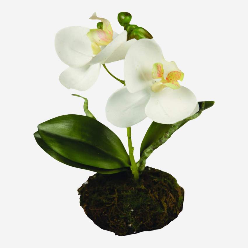 Planta artificial  de orquidea Phalaenopsis con césped 13cm blanca