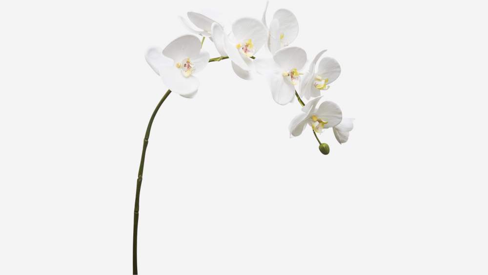 Kunstmatige orchidee Phalaenopsis 82,5cm wit