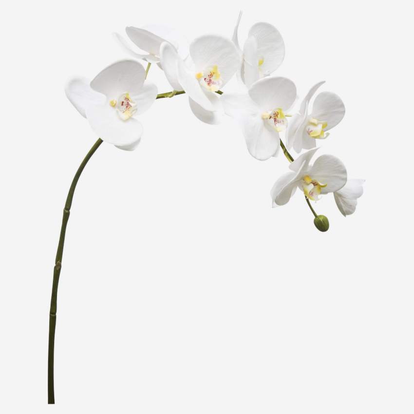 Kunstmatige orchidee Phalaenopsis 82,5cm wit