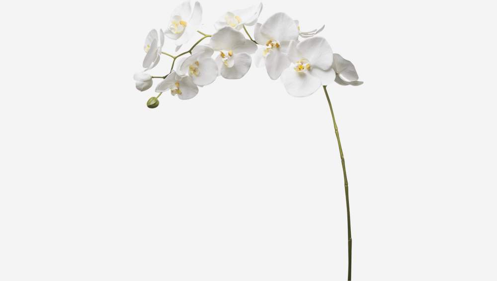 Kunstmatige orchidee Phalaenopsis 100cm wit